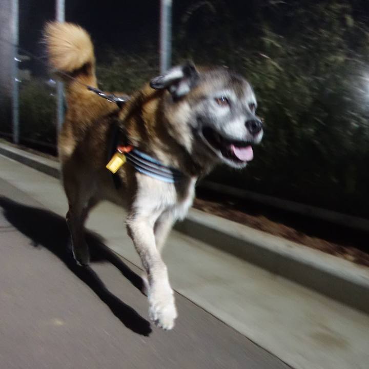 F7f543e4 cc77 4cf1 ab1b 9b6c95aa5956 1569063719480