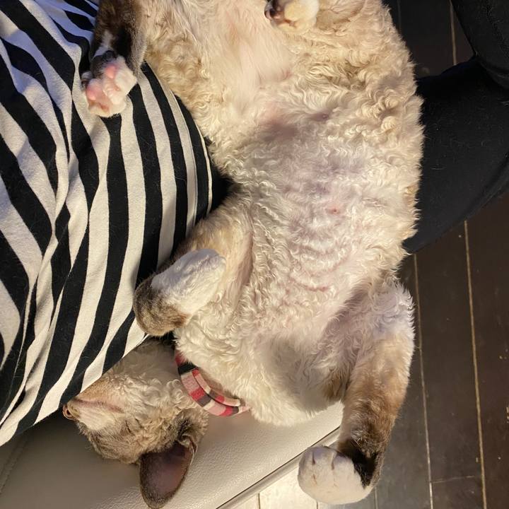 F7f54f2e 7788 45a1 8211 8afd4a033d8d 1649408014105