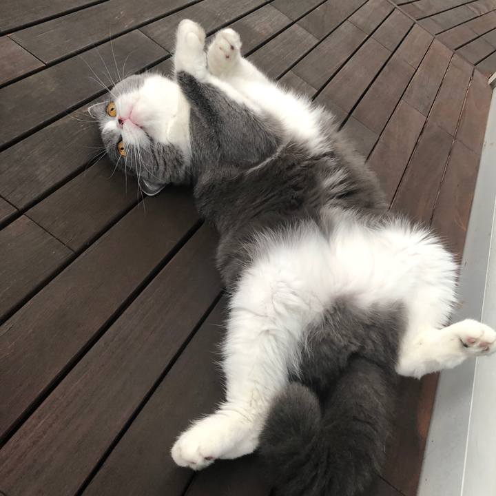 F7f56a27 e680 4753 a132 3125ca32d6e3 1539319881678