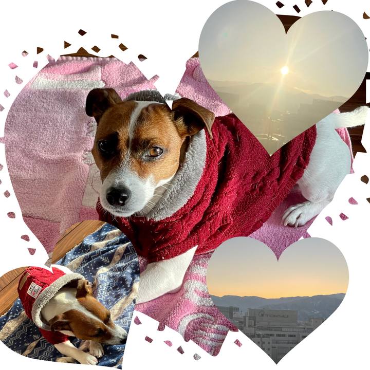 F7f58275 65bf 4017 8f15 b8dad0f3a76f 1643066057196