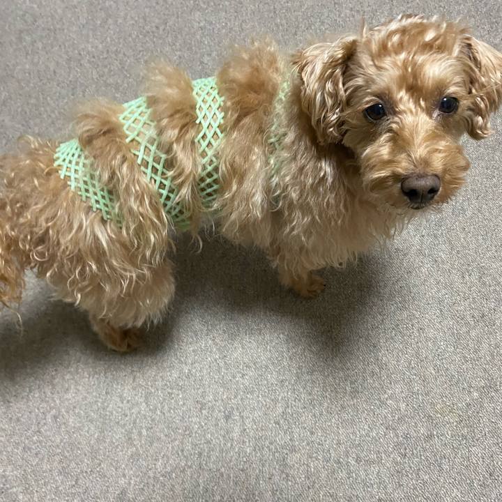 F7f59b5f 60cc 4a5d 9943 6ad0a3386441 1643025801716