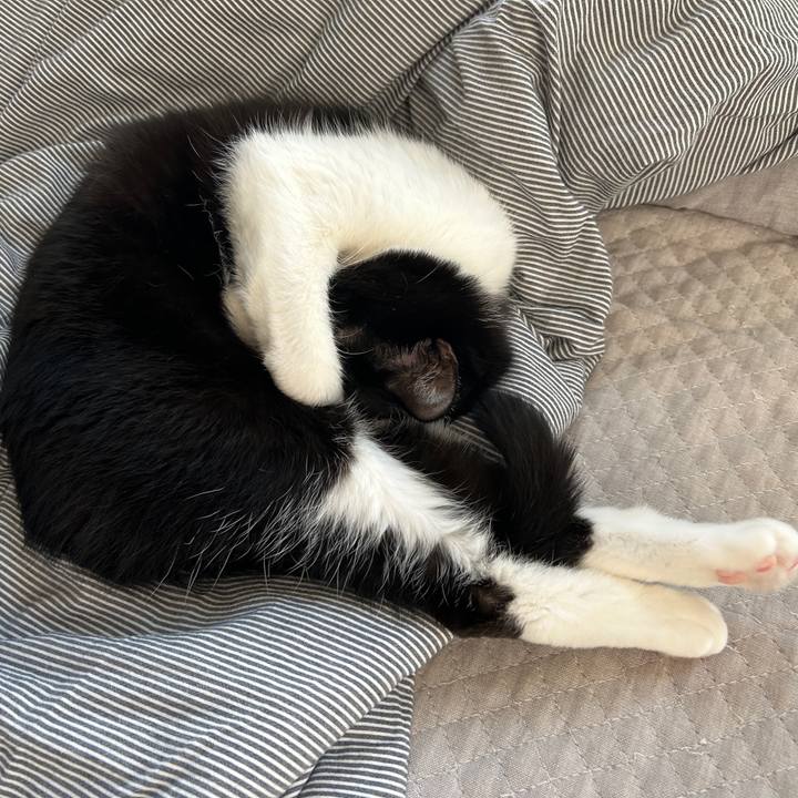 F7f5a980 904c 4ea0 8151 ac39db7500ff 1728806770542