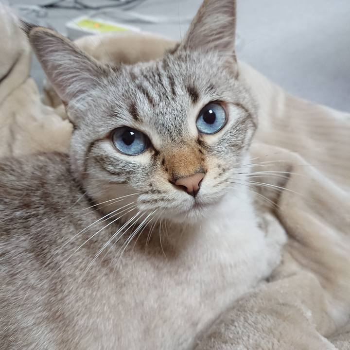 F7f5df32 094f 4d5e a5ce f5853eee3ab6 1606315773641