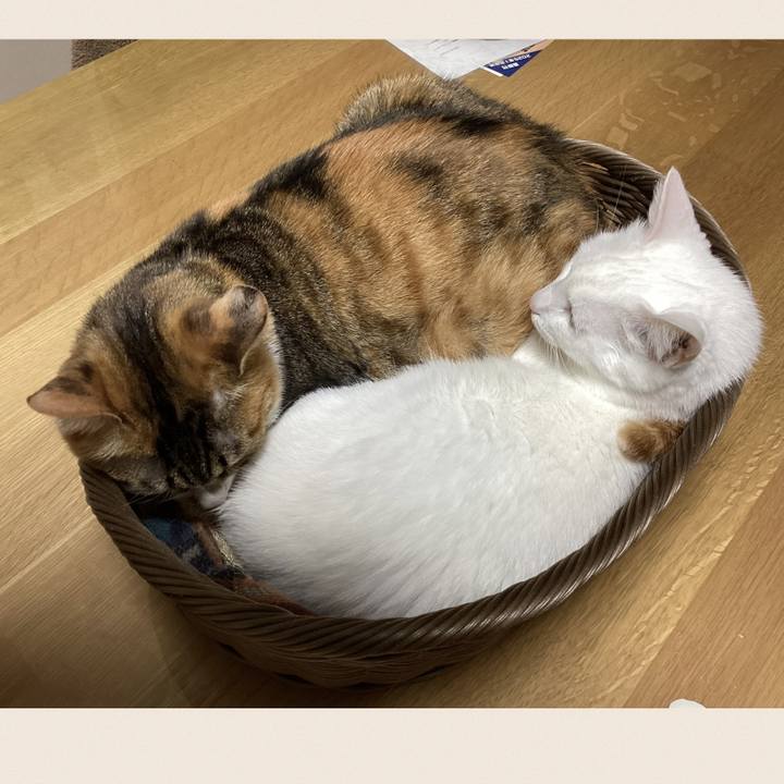 F7f60aff 37d7 42dc 8b2e ecb10d9ccf2f 1746764159045