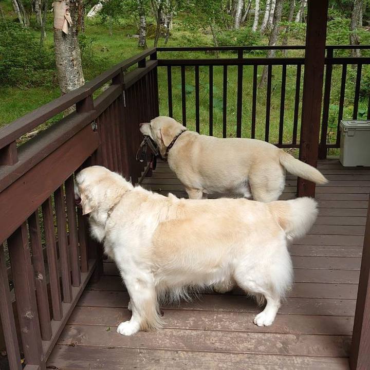 F7f60fde ee93 4611 95a5 3edd0c80aea7 1723607243158