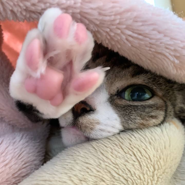 F7f613c2 7827 4d69 83e1 b033759e72cb 1583890462492