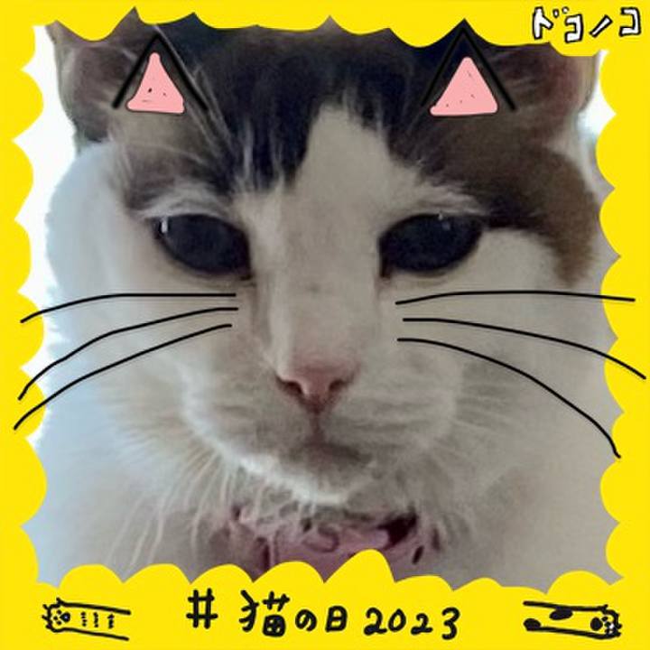 F7f646f2 a901 422b ad5d 378f2649aa6c 1677036827030