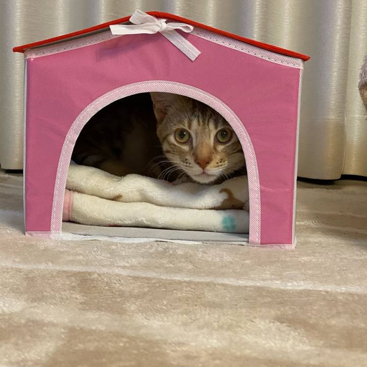 F7f65503 1a4d 4d73 8eed 0edf1c81c836 1604323730750