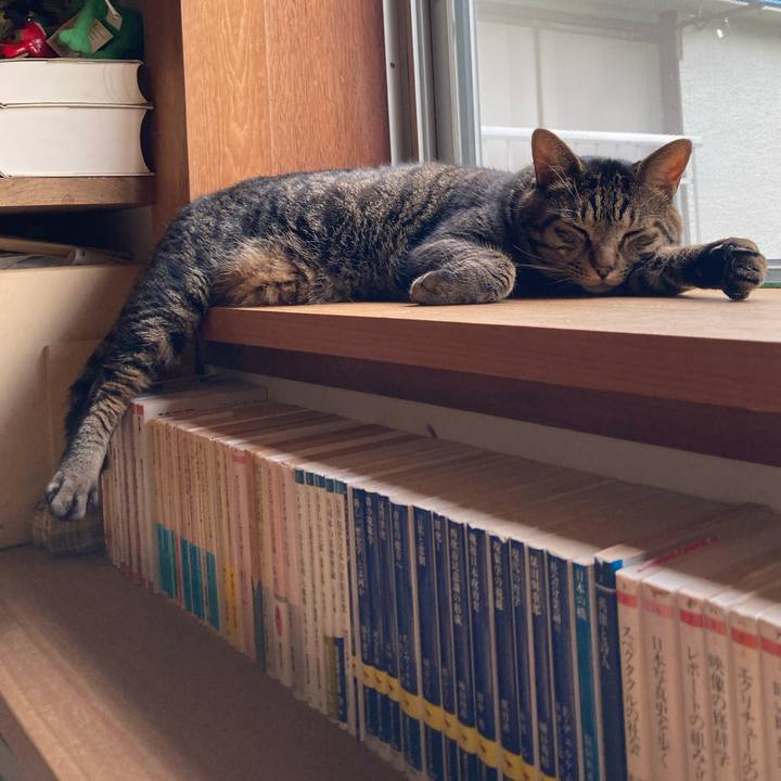 F7f6afcf ac79 46d6 ba7f 1e8ea3163bae 1724454722021