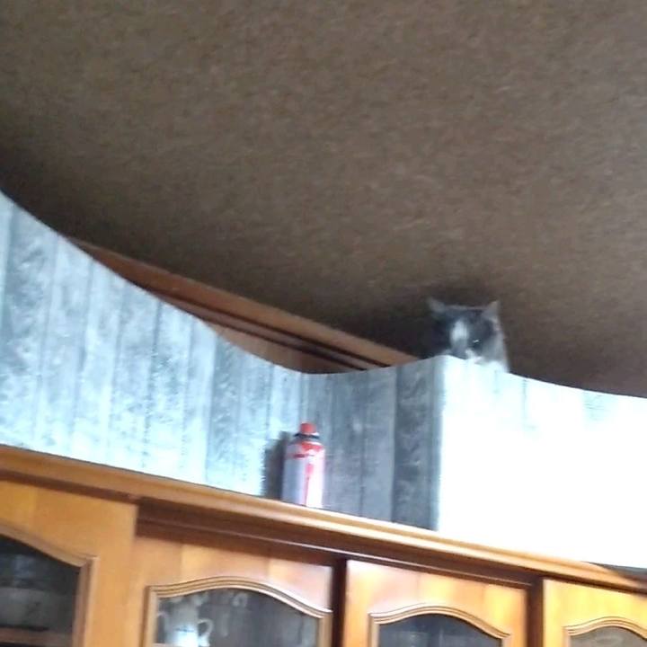 F7f6d1b4 d9bb 4e2a b93a f4c6b7ebff9b 1675848141054