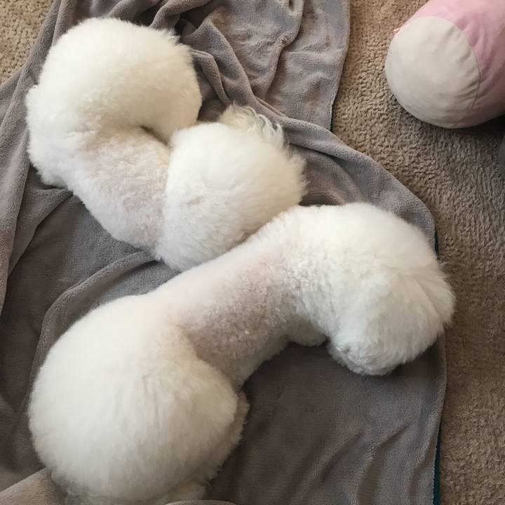 F7f6d33c cbf4 4322 8f86 12a951bf1123 1586246141600