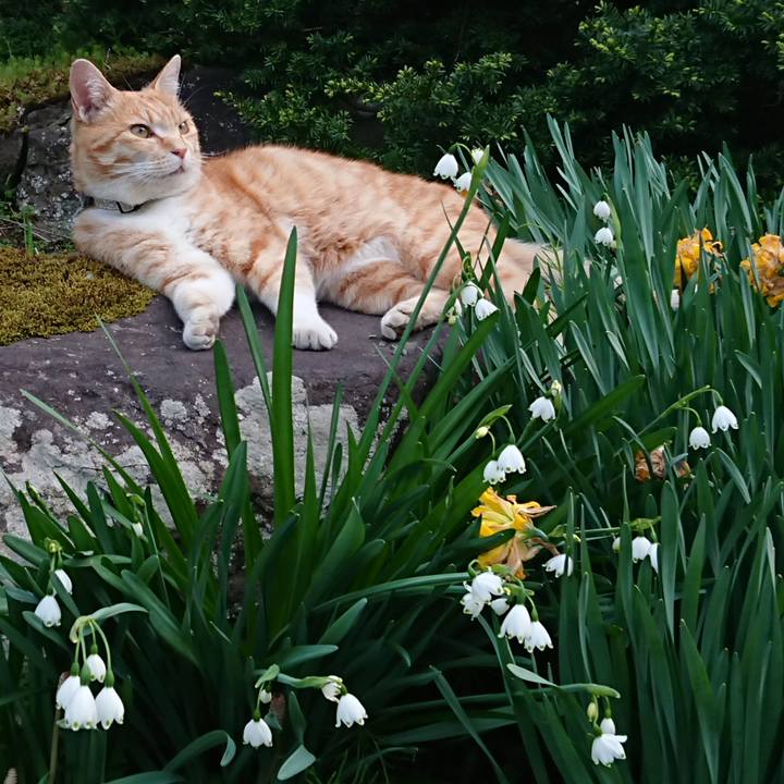 F7f6ed99 a0e8 409f b94e 670c7ac93431 1588581293207