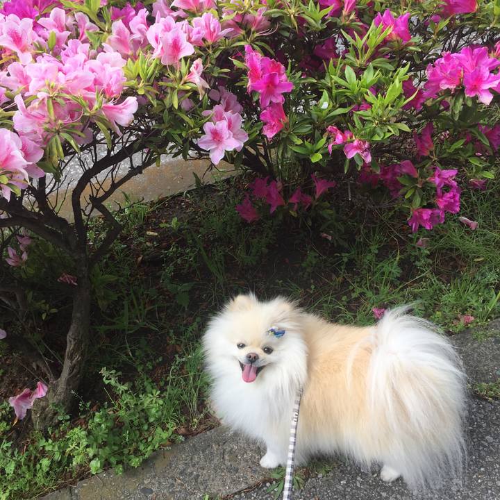 F7f6f3a4 6717 47dd 9cc3 06604922a2ad 1588035907407