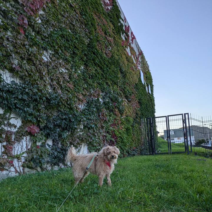 F7f72a60 3970 4c71 871e 35c7b12101ce 1727601661497