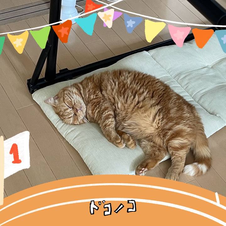 F7f756b0 73c5 4ac7 8519 c47ba8c41d52 1761114228046