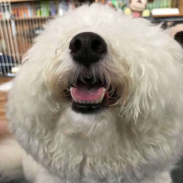 F7f768d0 9e71 4ff7 b30a a89051540e3e 1528688808230