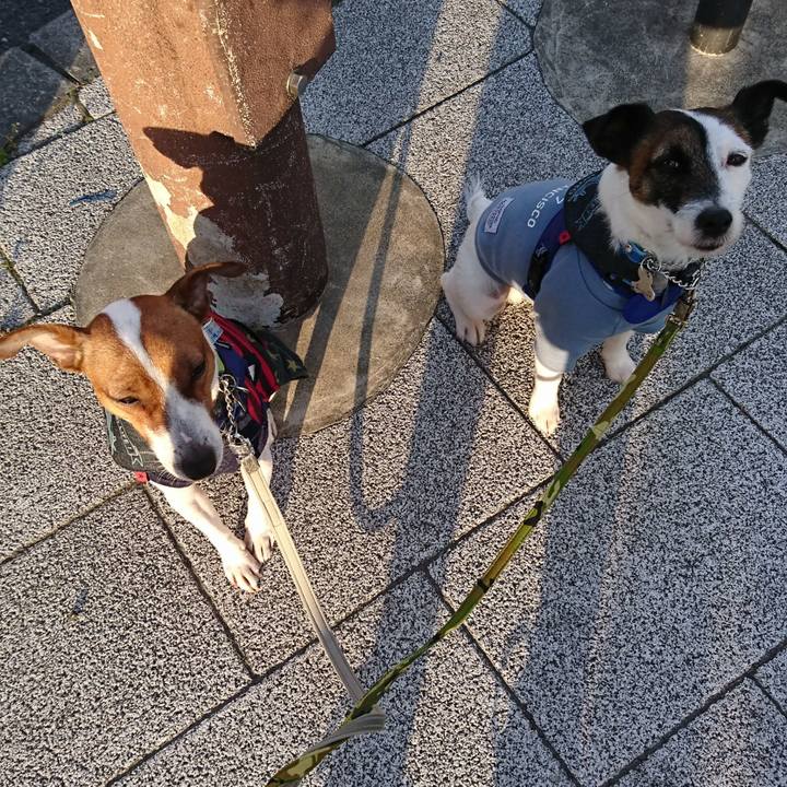 F7f790fa 355b 4e04 996b 17affac908c0 1552947025288