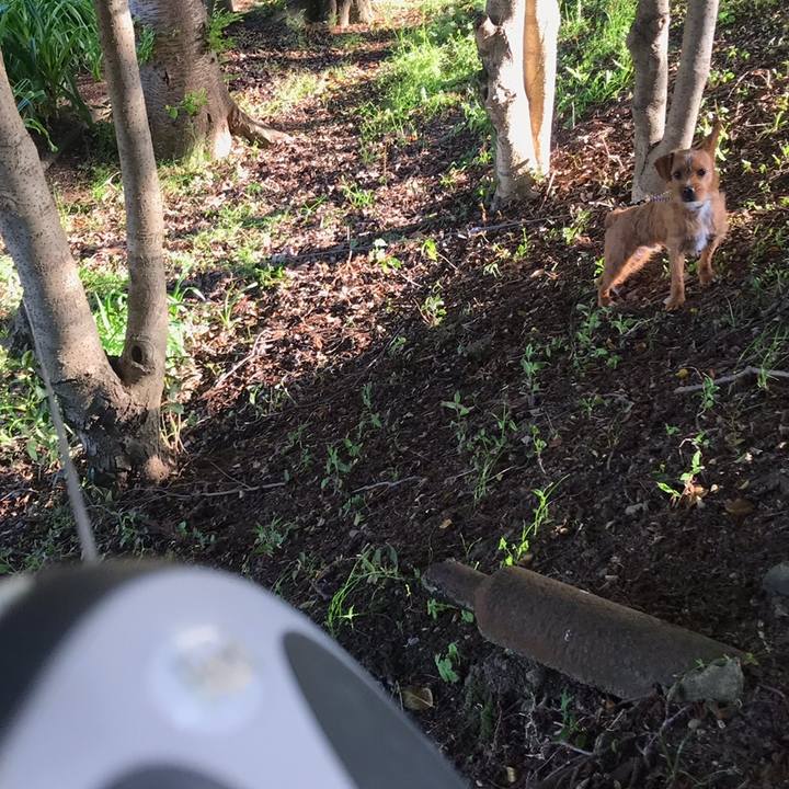 F7f7a6df 3e93 4129 a254 c775181c58b8 1558268826692