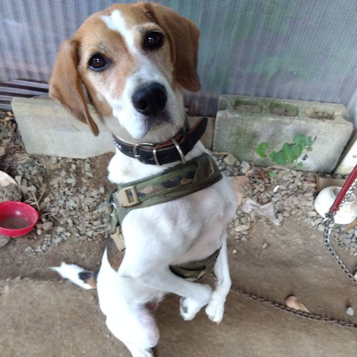 F7f7ccb2 aac7 47ab a43d 747a68c8bd63 1694686000253