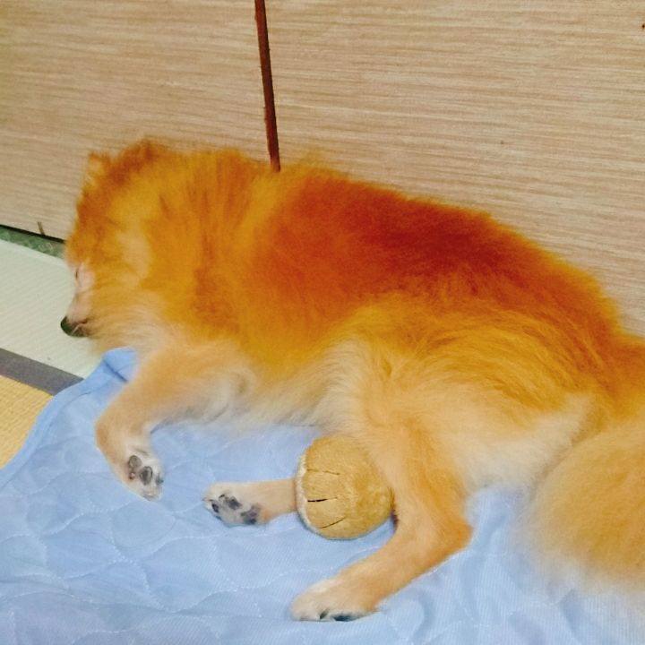 F7f7d5c1 74e3 4885 b972 a1629966d77b 1537746385648