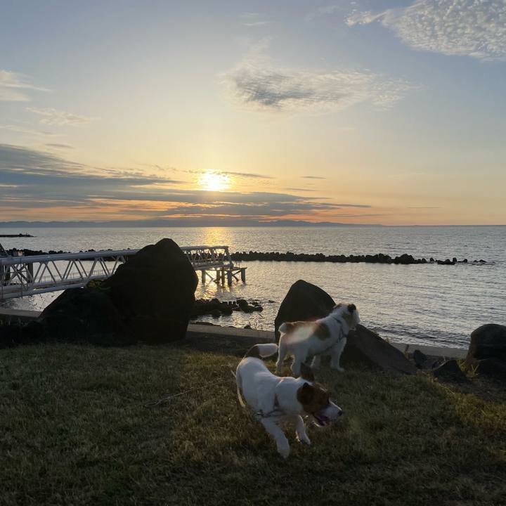 F7f8a025 9590 427e 96f3 794a2eff867b 1657450167660