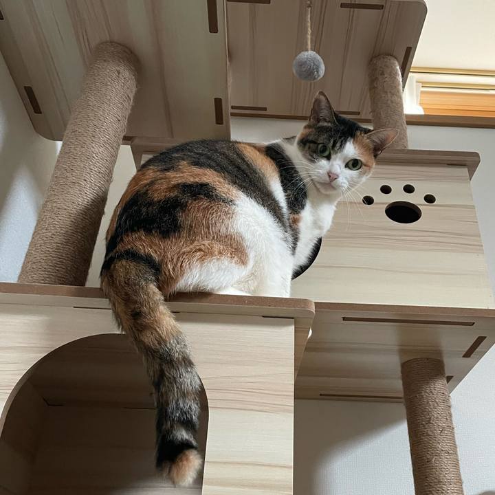 F7f8c461 5e53 44ab 99dd 14cf31138f3f 1666585921616