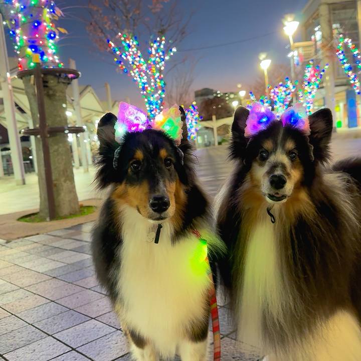 F7f9251f 521b 4d70 8197 9cd5b8bc608a 1764442767570