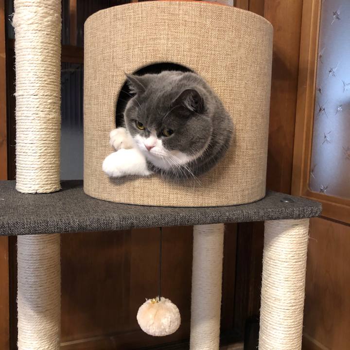 F7f9c3f2 bdb6 4e1d 910b 611c0ed7a914 1580813345954