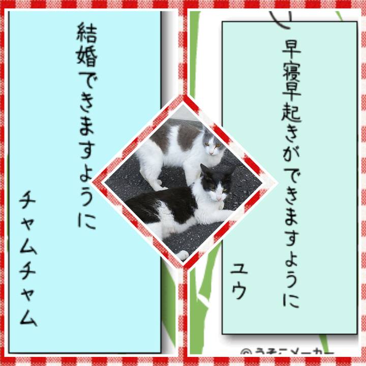 F7fa21c0 e178 41df 9682 56c2e29c0275 1530955943608