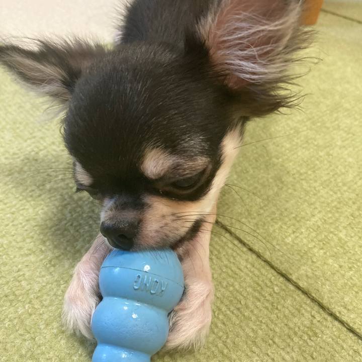 F7fa7727 f021 49c0 b726 85a1a5b131b6 1597496555745