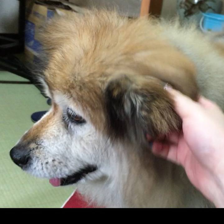 F7faa59c 226c 4225 8c56 3ffdb20d242a 1590039060822