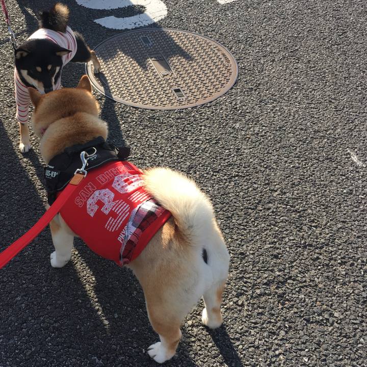 F7fab481 4005 44f5 b548 a0b19efd25fd 1575194401253