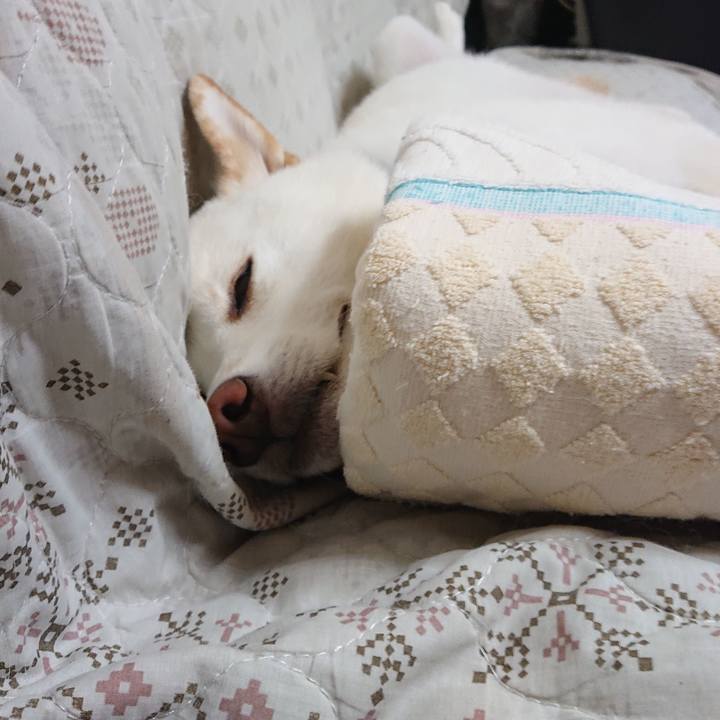 F7fab63c 3ab6 43b0 8263 5f97c15210e2 1570367618936