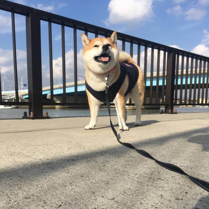 F7fad421 ca86 4bb1 9b06 ee9a3178219c 1572500563692