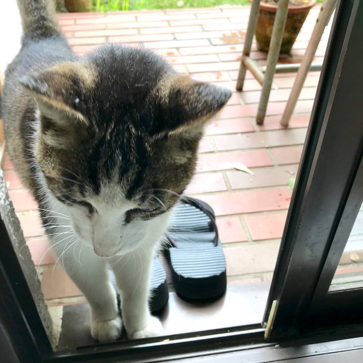 F7fae428 6d65 47ca a2af 66a3c5d9a393 1539229509002