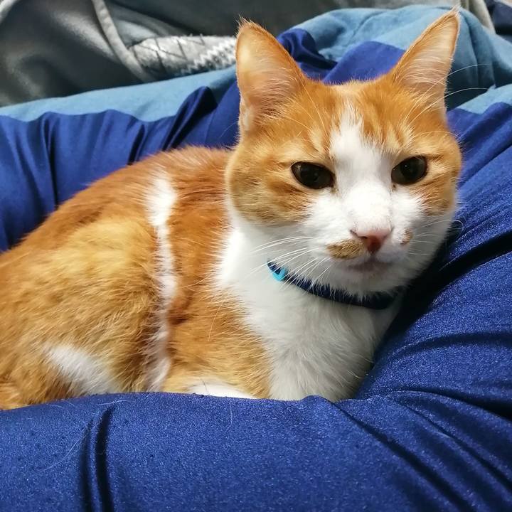 F7faebdb d0a7 401e addc 82e03508a3e5 1615502460732