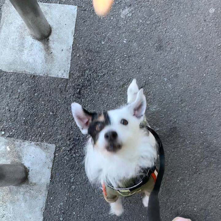 F7fafa3c aca9 4212 8883 b83c207bff0b 1710314429784