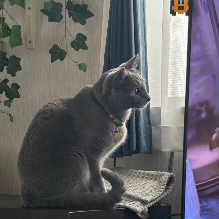 F7fb0eda 32eb 4b47 abe5 f5bef0f33310 1752798097097