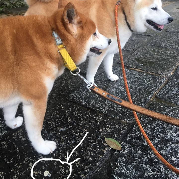 F7fb295c 77a6 4a7c b687 9e58928d9b2b 1530313817639