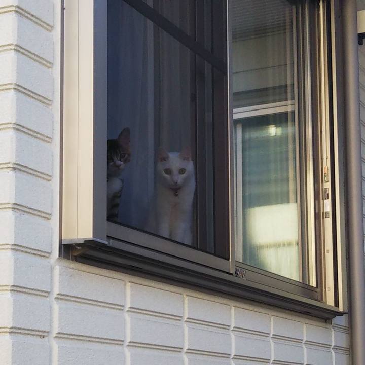 F7fbd8e3 4c5a 4fa3 b32d 5a73ab77349a 1629410464777