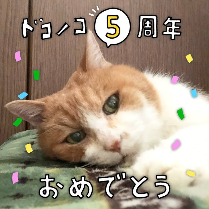 F7fc0171 e61d 4c54 af33 fa0f74f8e704 1622881661168