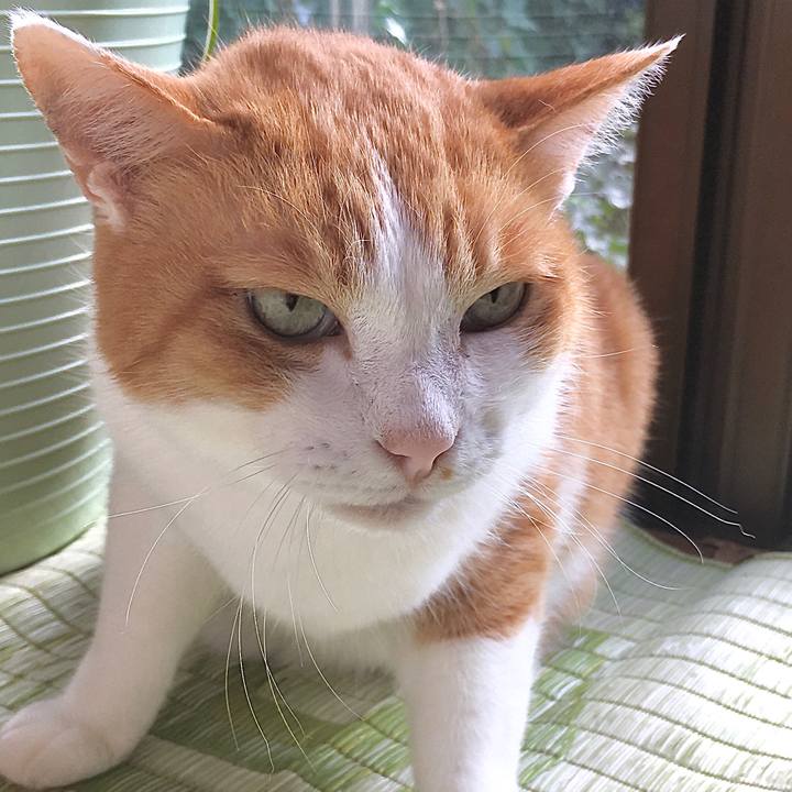 F7fc18db 92b1 4e5b 9011 e0bea10cafd8 1576558422380