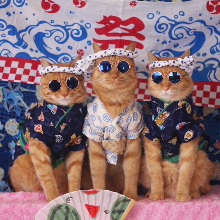 F7fc2c76 b77d 4bdb 81a5 9254031e64ba 1659668824997