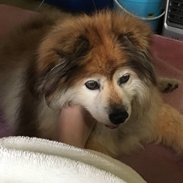 F7fc35db e5c6 4eda ac5f 1ea7ca510d4d 1587968936061