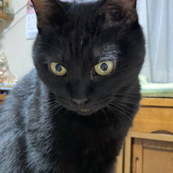 F7fc46ef cbda 4807 9b57 e0074b88d157 1768306623936