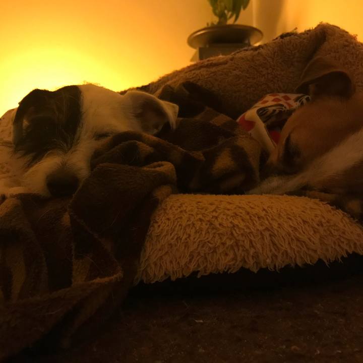 F7fc4c92 7382 4e96 b4a1 1140f9863f27 1512743485139