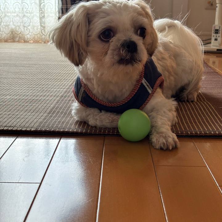 F7fc65e5 6bf2 4c69 9085 d8d3bd37d23d 1753738780269