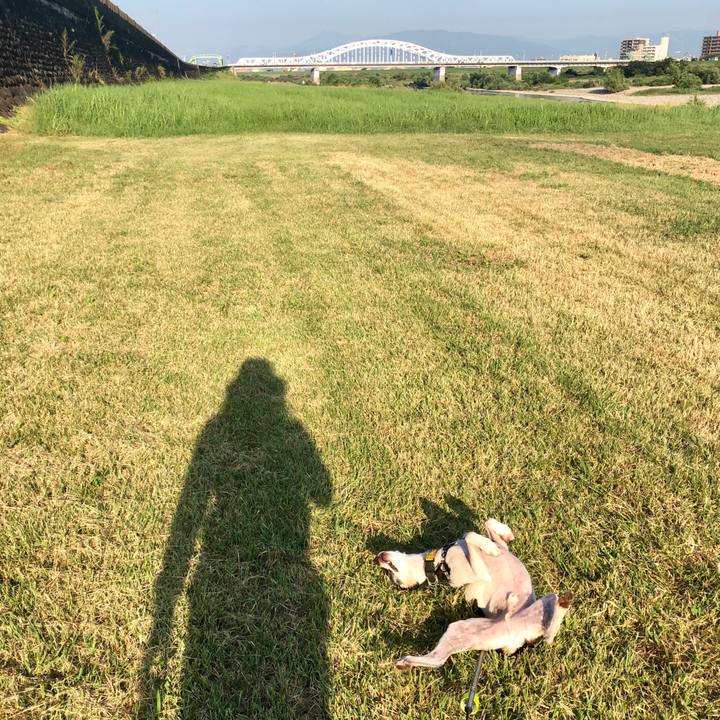 F7fc699f acfc 477e 9a71 a292c4eb636f 1565398813849