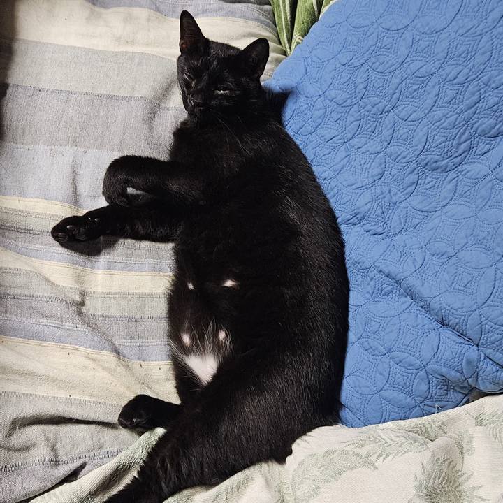 F7fca72d 055d 4ef8 8c36 aa05c375ca7a 1758267076441