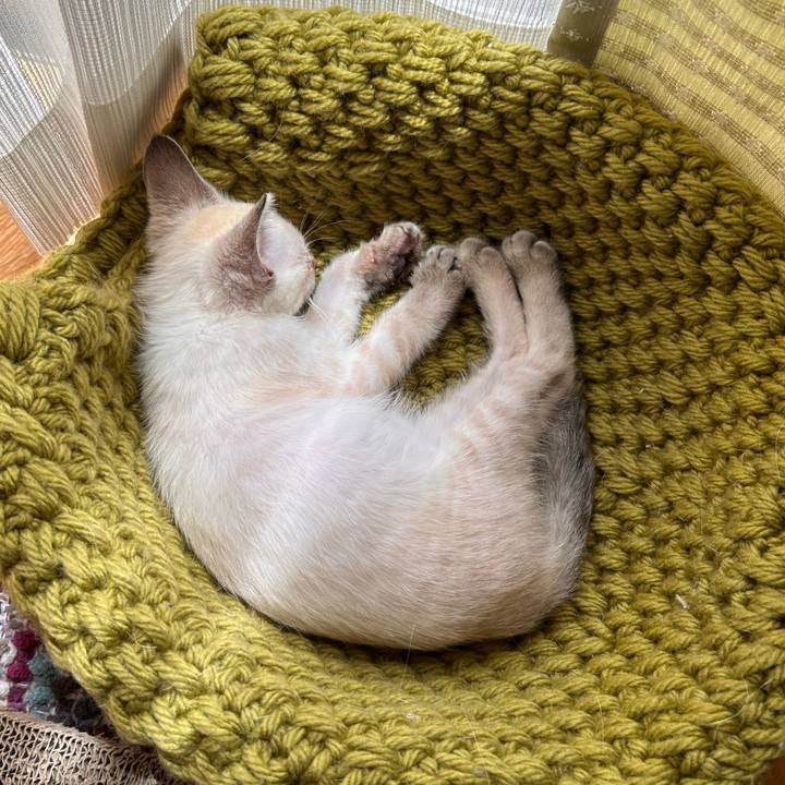 F7fcc9d2 dae2 4e58 b0a8 3a921b73e17e 1721621753705